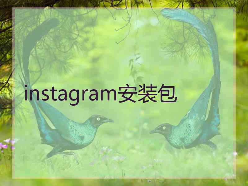 instagram安装包