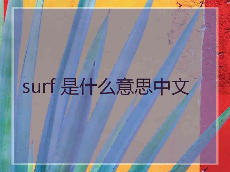 surf 是什么意思中文