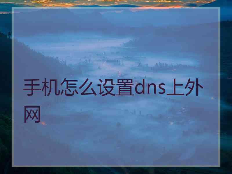 手机怎么设置dns上外网