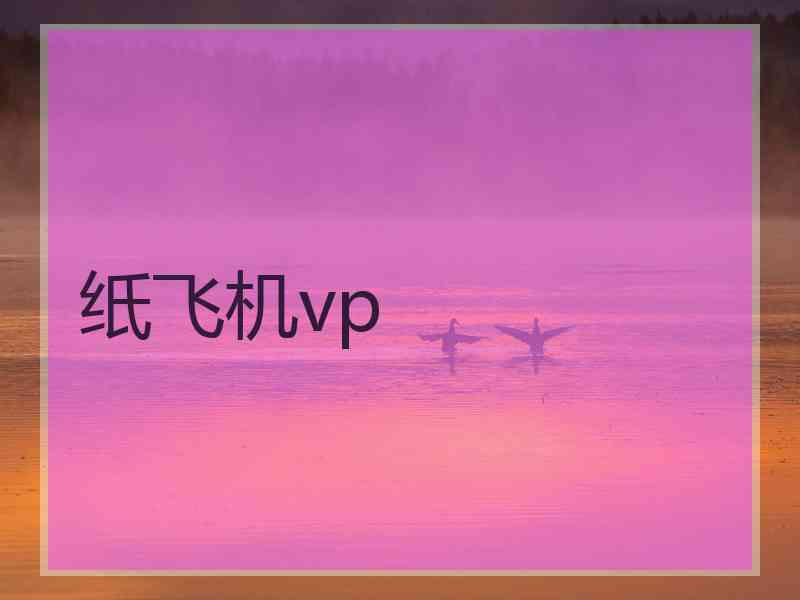 纸飞机vp