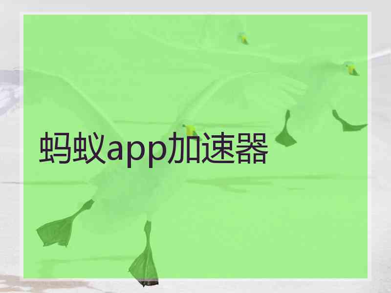 蚂蚁app加速器