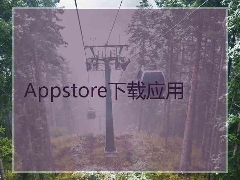 Appstore下载应用