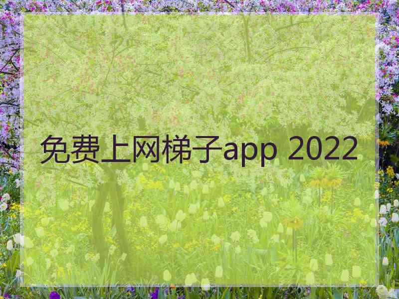 免费上网梯子app 2022