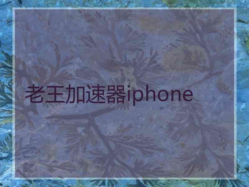老王加速器iphone