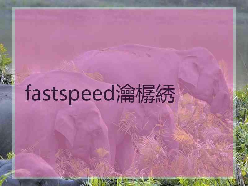 fastspeed瀹樼綉