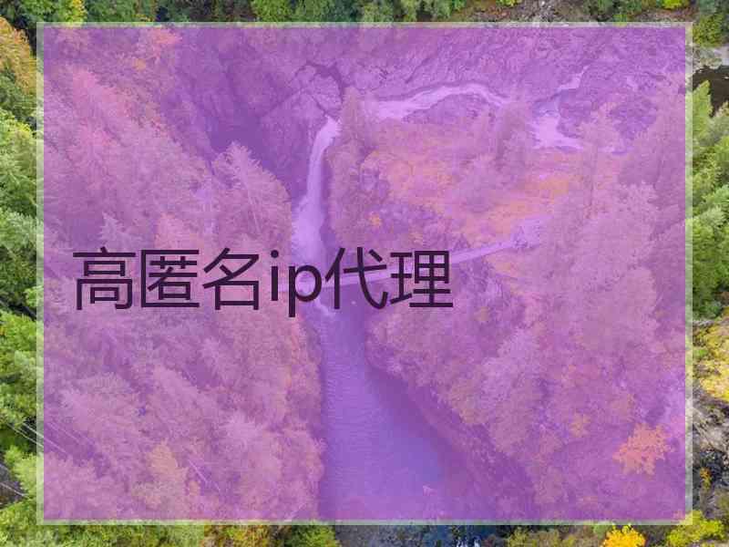 高匿名ip代理