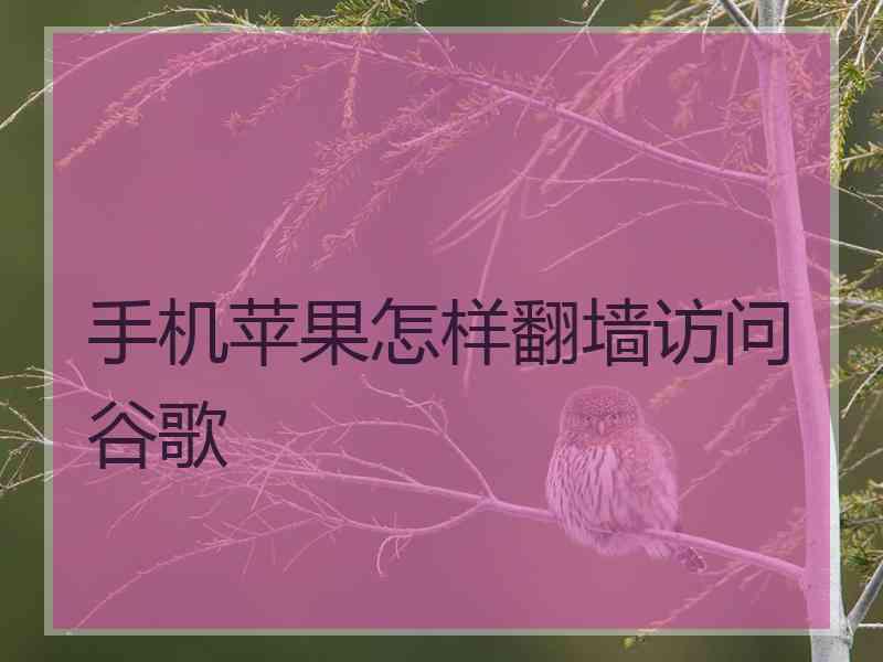 手机苹果怎样翻墙访问谷歌