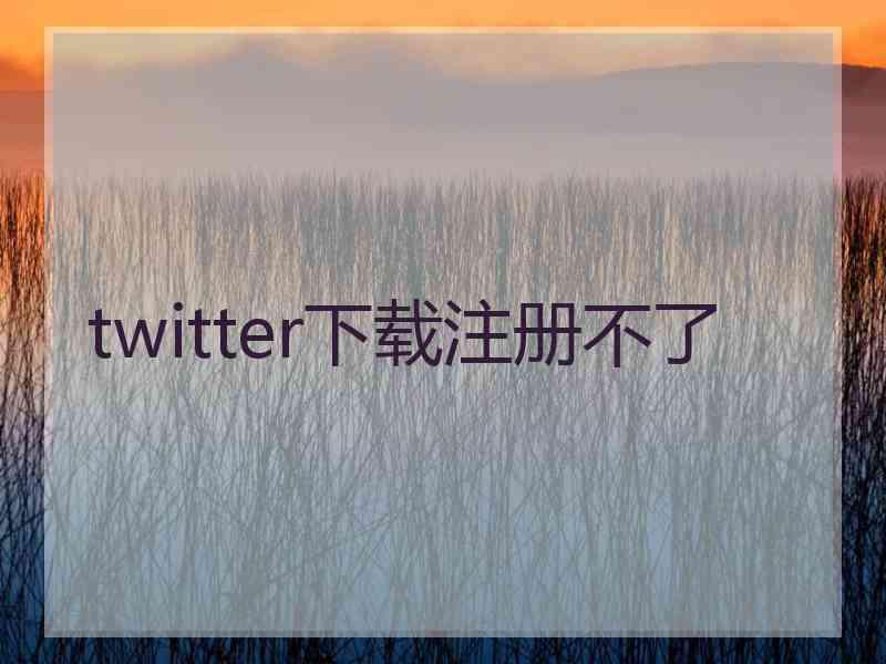 twitter下载注册不了