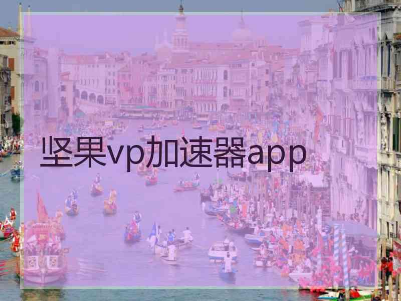 坚果vp加速器app