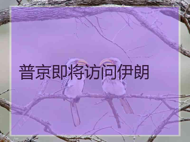 普京即将访问伊朗