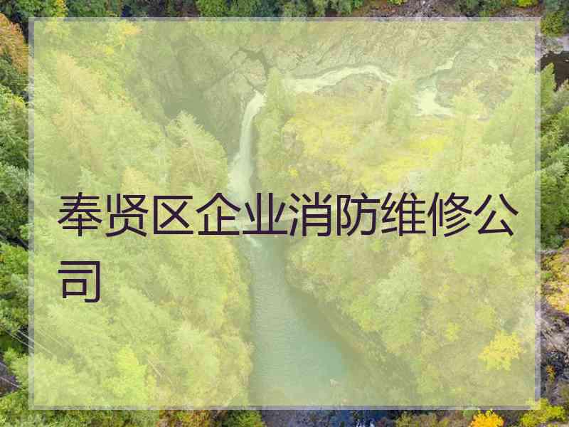 奉贤区企业消防维修公司