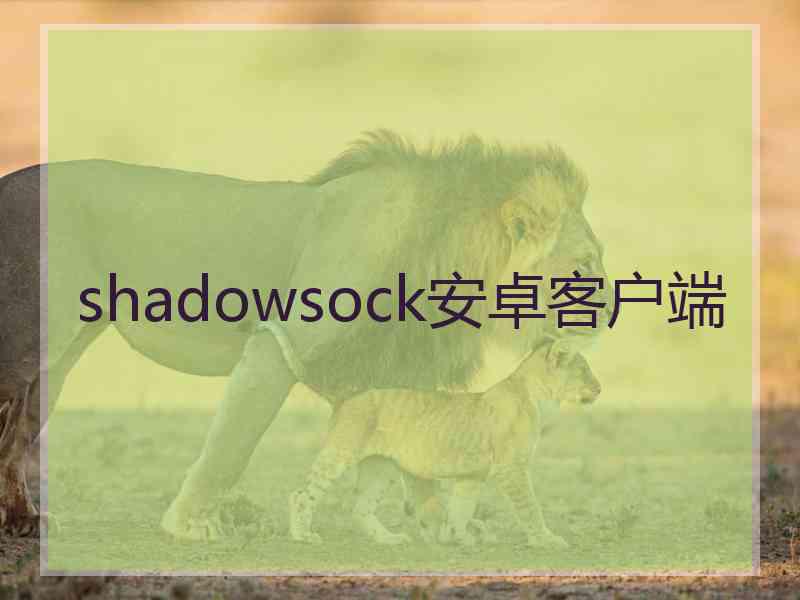 shadowsock安卓客户端