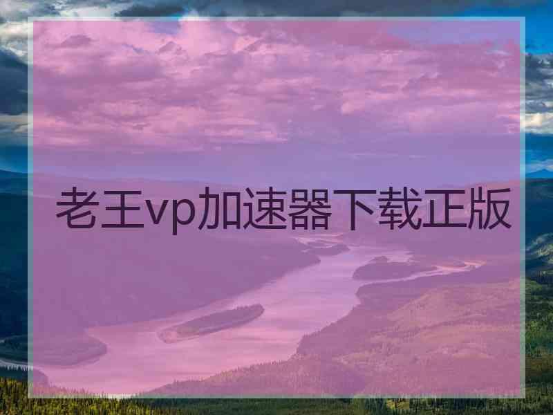 老王vp加速器下载正版