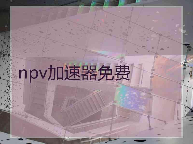 npv加速器免费