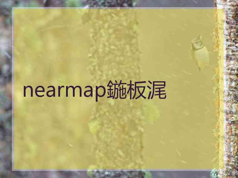 nearmap鍦板浘