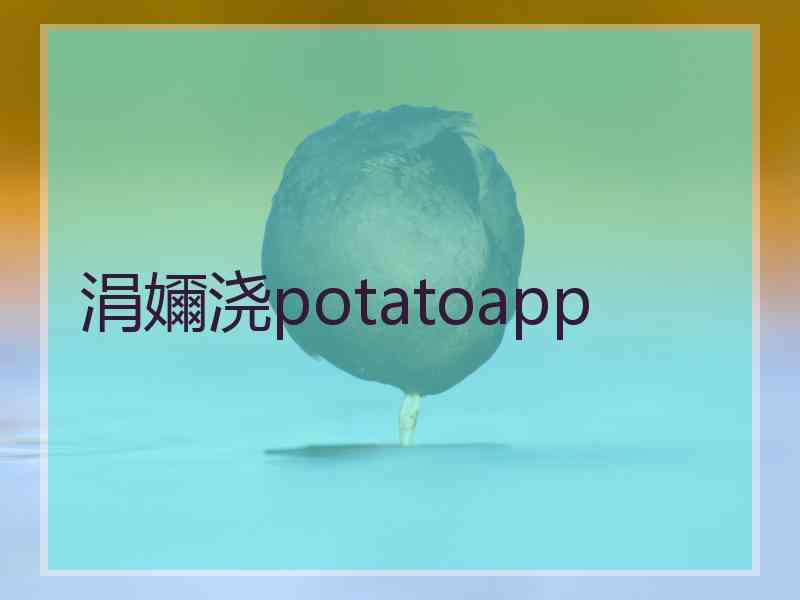 涓嬭浇potatoapp