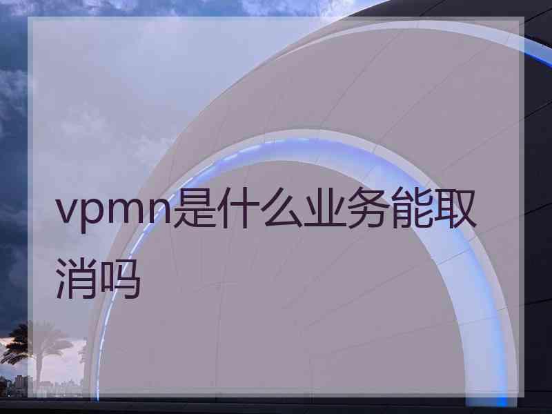 vpmn是什么业务能取消吗