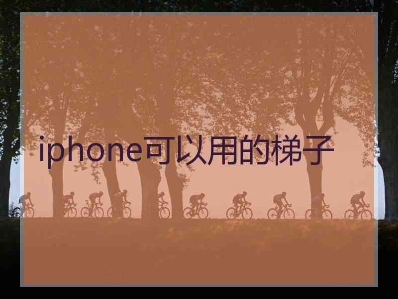 iphone可以用的梯子