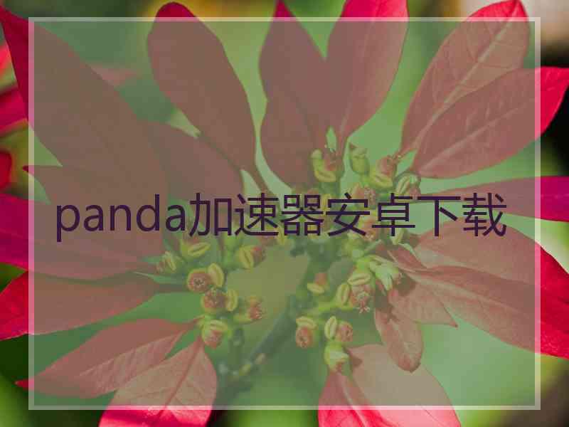 panda加速器安卓下载