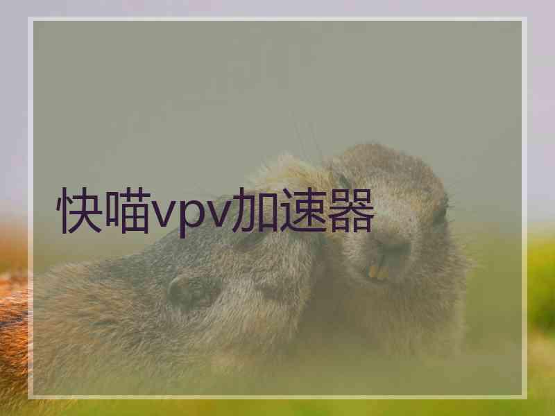 快喵vpv加速器