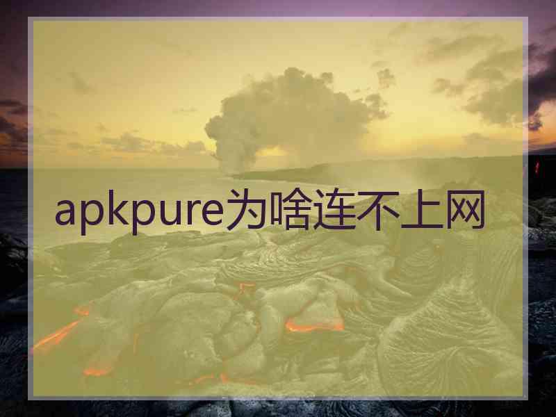 apkpure为啥连不上网