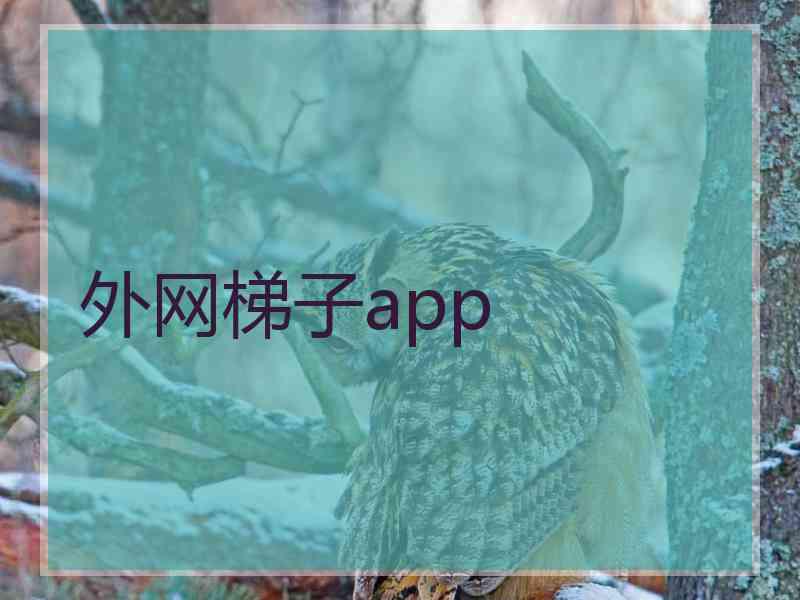 外网梯子app