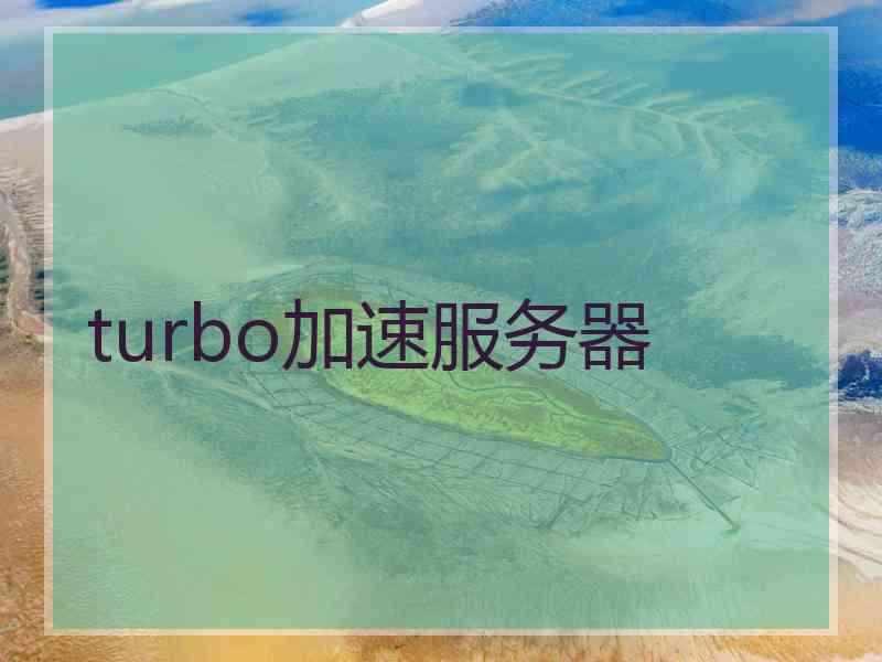 turbo加速服务器