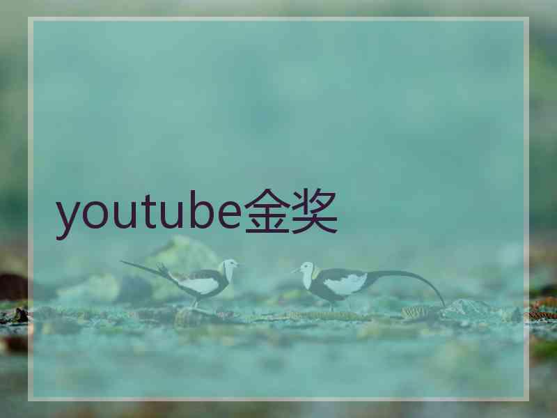 youtube金奖