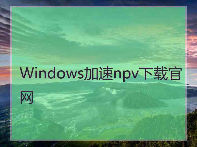 Windows加速npv下载官网