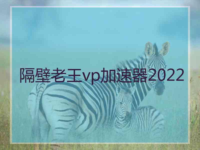 隔壁老王vp加速器2022