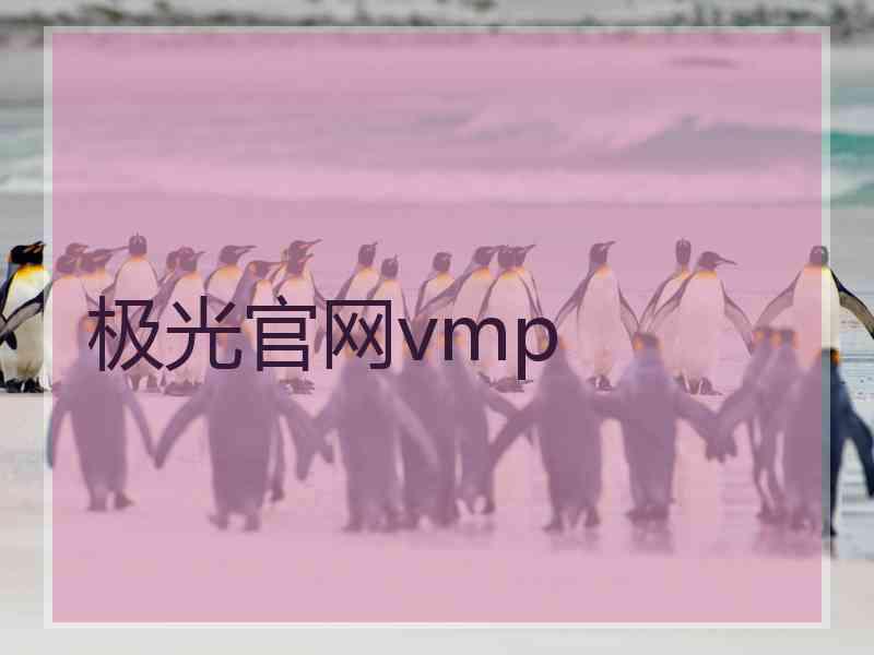 极光官网vmp