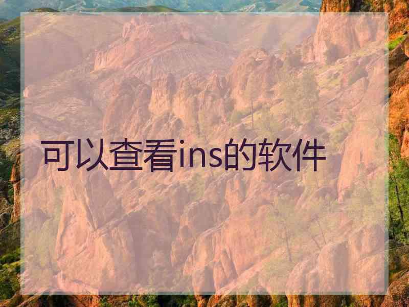 可以查看ins的软件