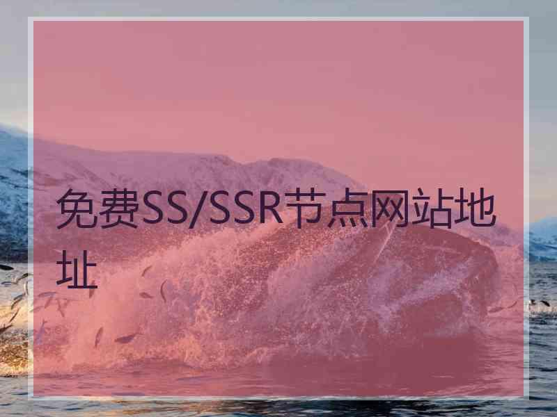 免费SS/SSR节点网站地址