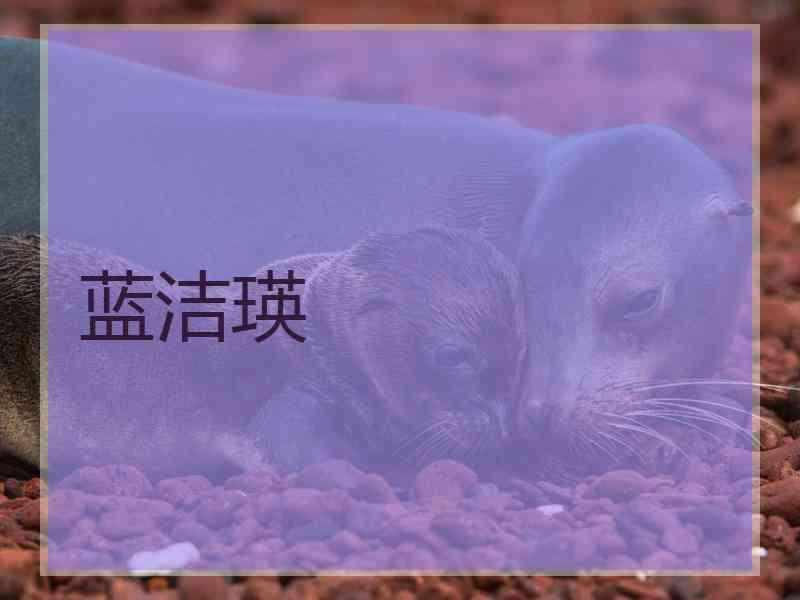 蓝洁瑛