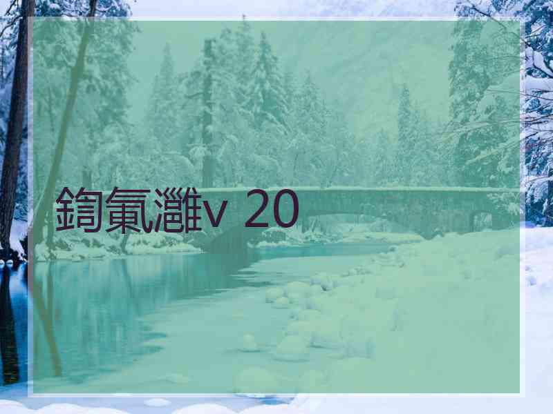 鍧氭灉v 20