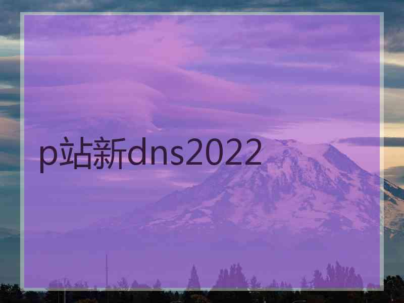 p站新dns2022