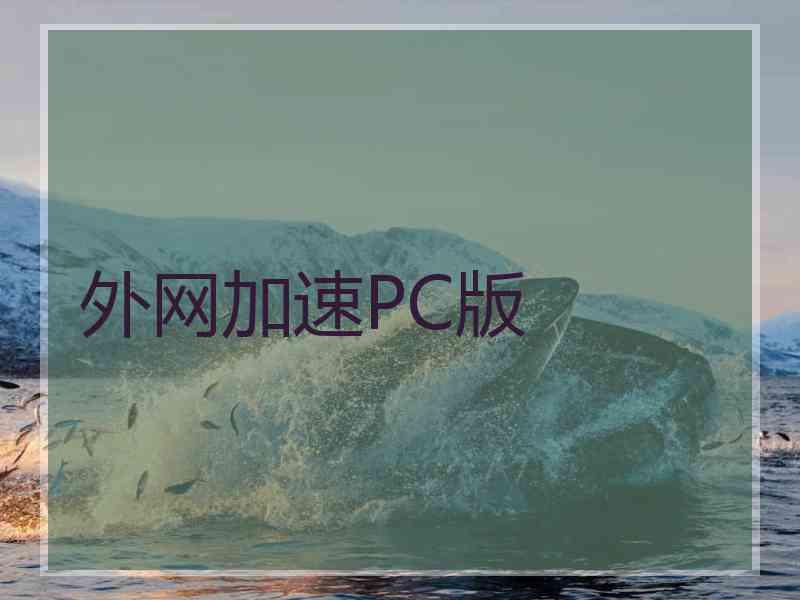 外网加速PC版