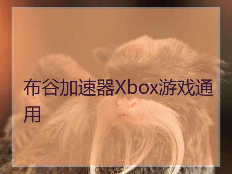 布谷加速器Xbox游戏通用