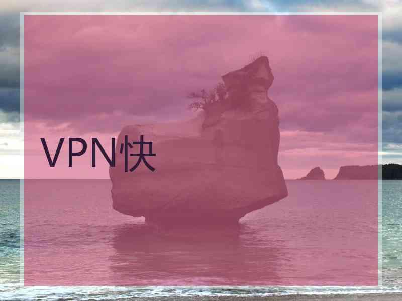 VPN快