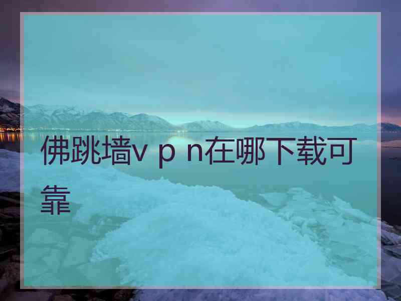 佛跳墙v p n在哪下载可靠