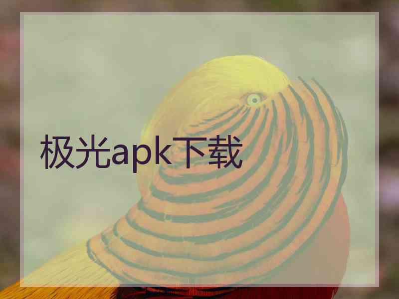 极光apk下载