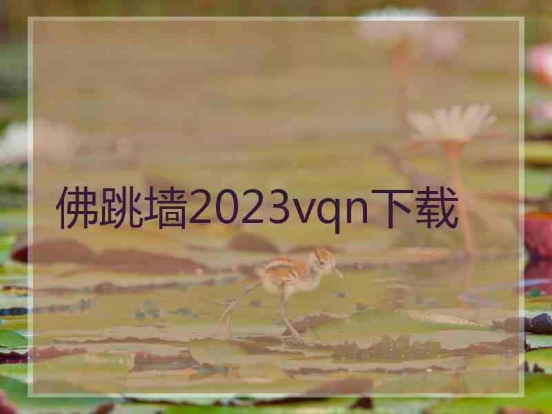 佛跳墙2023vqn下载