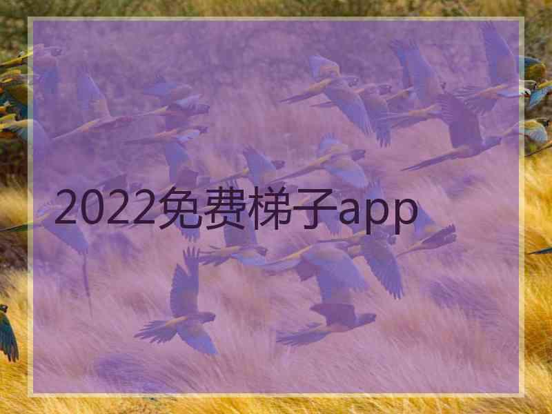 2022免费梯子app