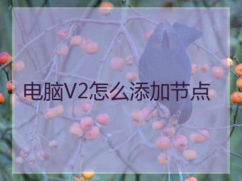 电脑V2怎么添加节点