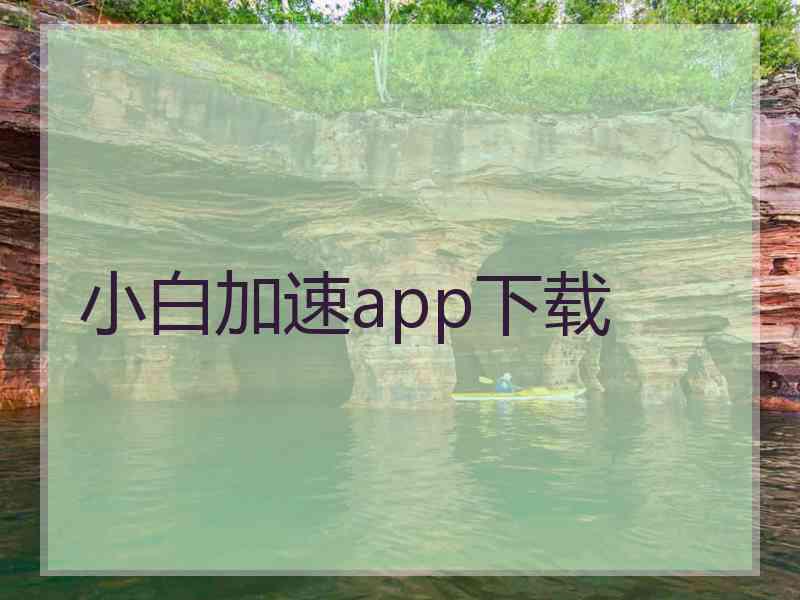 小白加速app下载