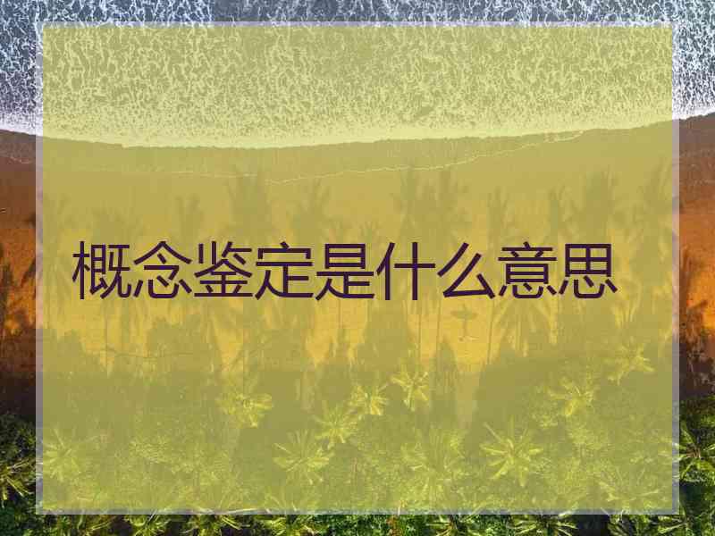 概念鉴定是什么意思