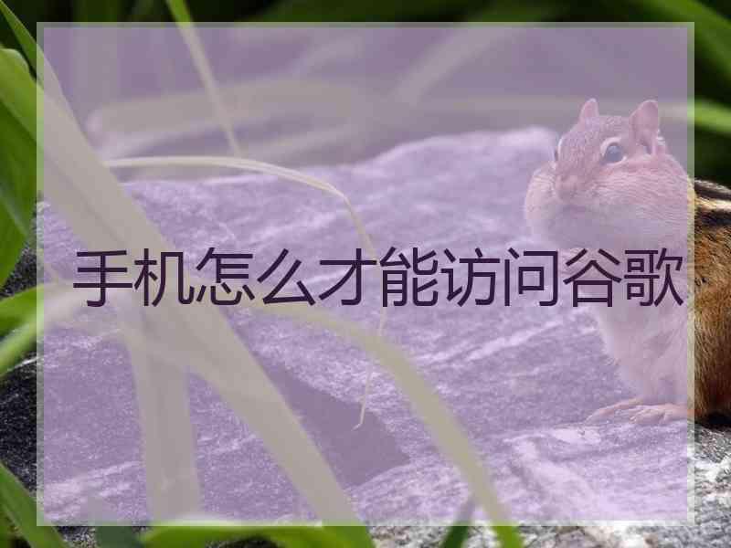 手机怎么才能访问谷歌