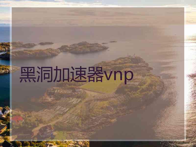 黑洞加速器vnp