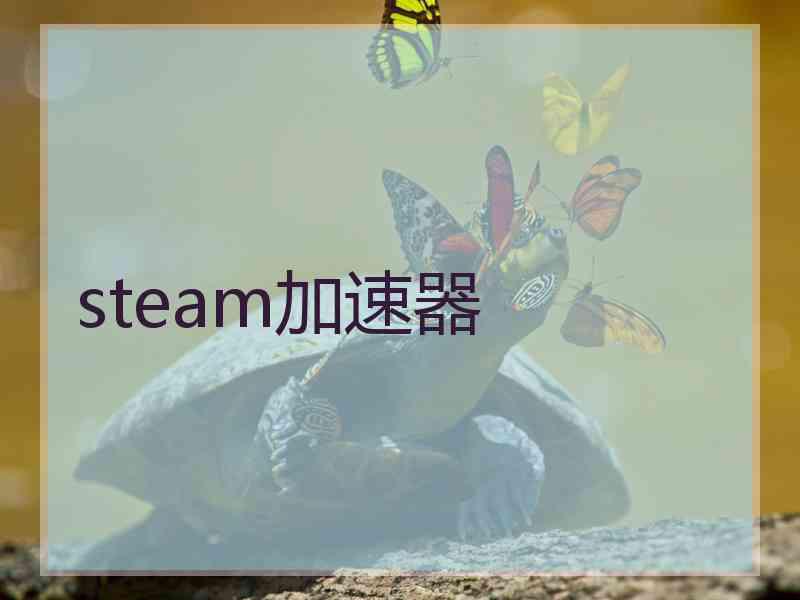 steam加速器