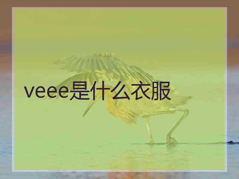 veee是什么衣服